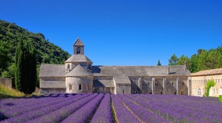 Provence Shore Excursions Lavender Marseille