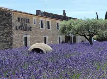 Provence Shore Excursions Lavender Marseille