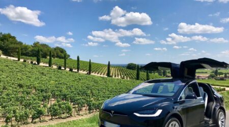 IMG_6435 Provence Wine Tours