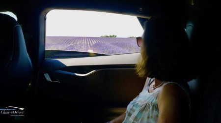 Guest Lavender Private Tour Lavender Private Tour